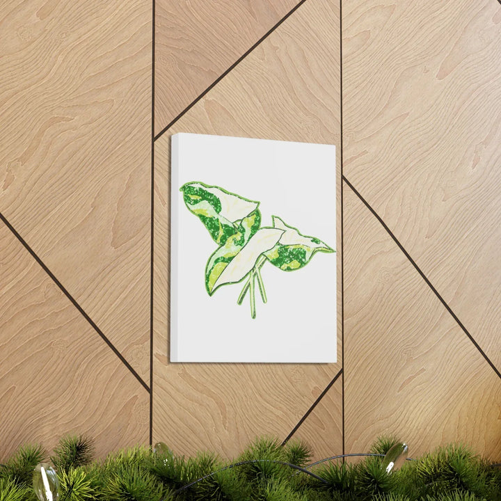 Marble Syngonium Canvas - Botanical Canvas Art Print | Durable Cotton Matte Finish - Laura Christine Photography & Design