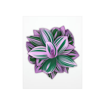 Tradescantia Nanouk Print