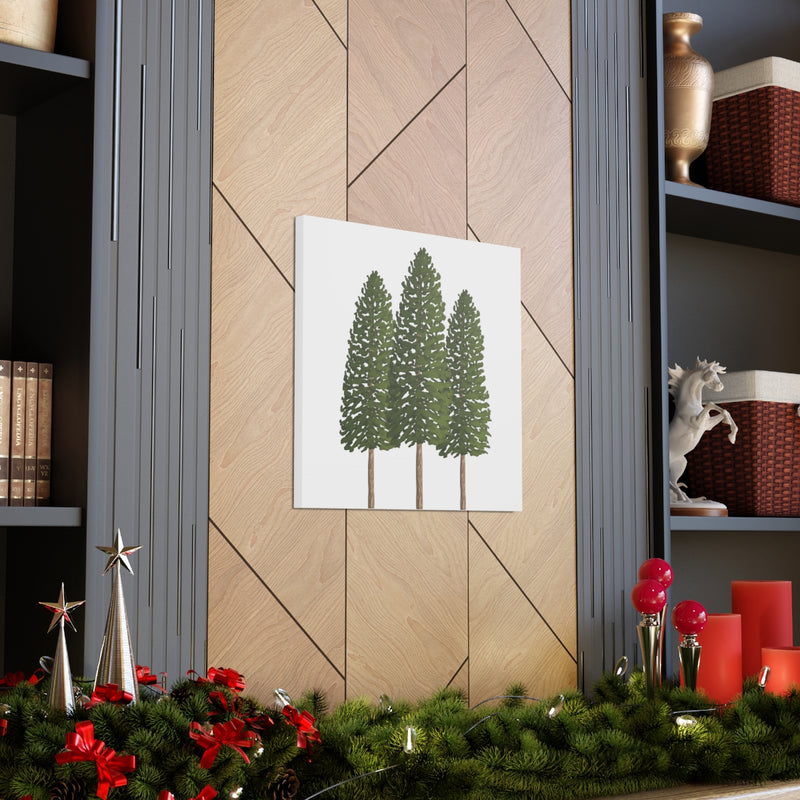 Ponderosa Pine Canvas