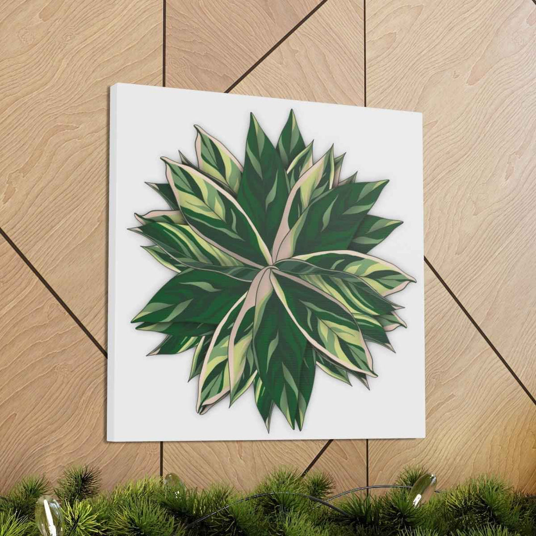 Stromanthe Triostar Canvas - Pastel Stripe Canvas Art Print With Vivid Color Artwork