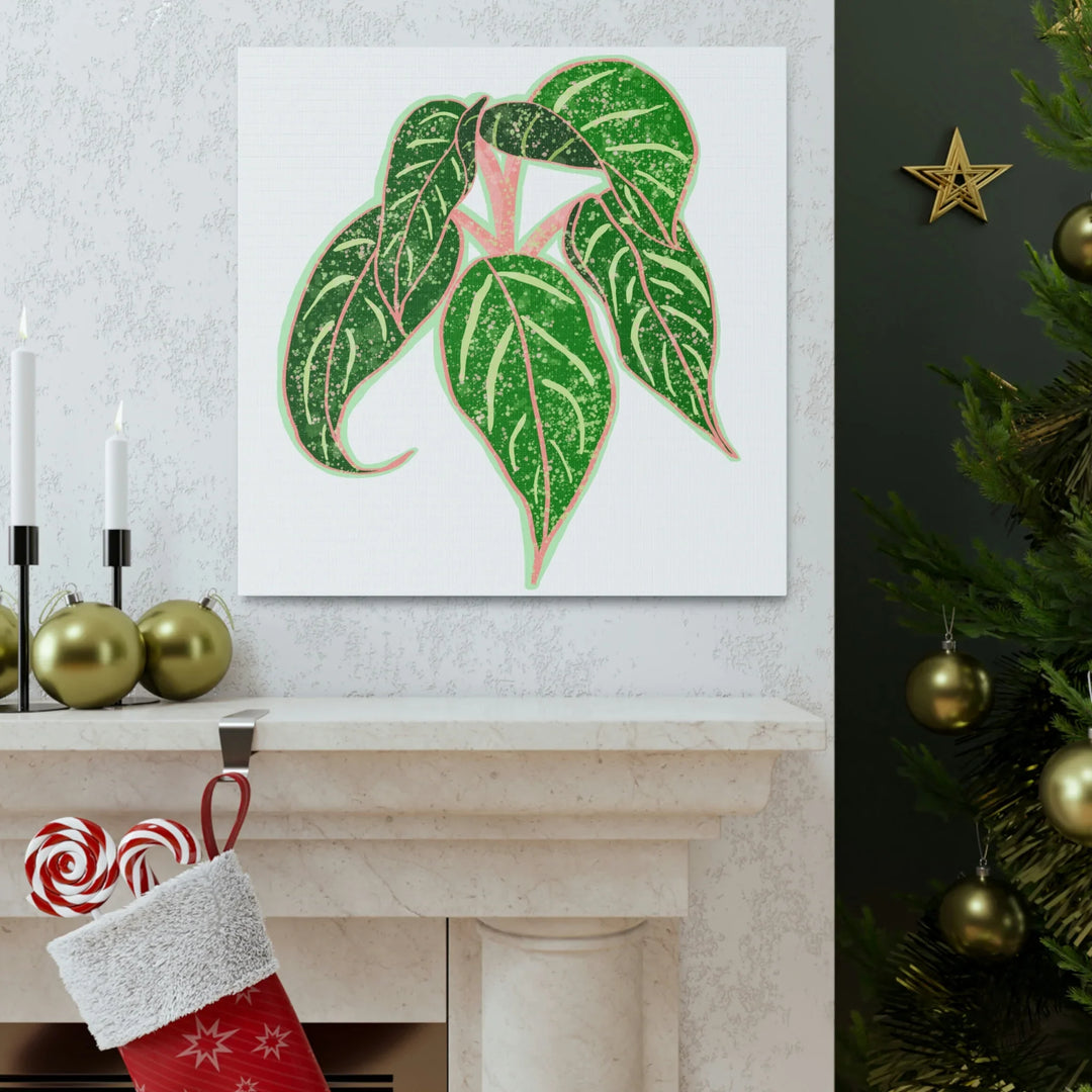 Aglaonema Plant Canvas | Sparkling Plant Artwork - Colorfast Canvas Art Print Decor