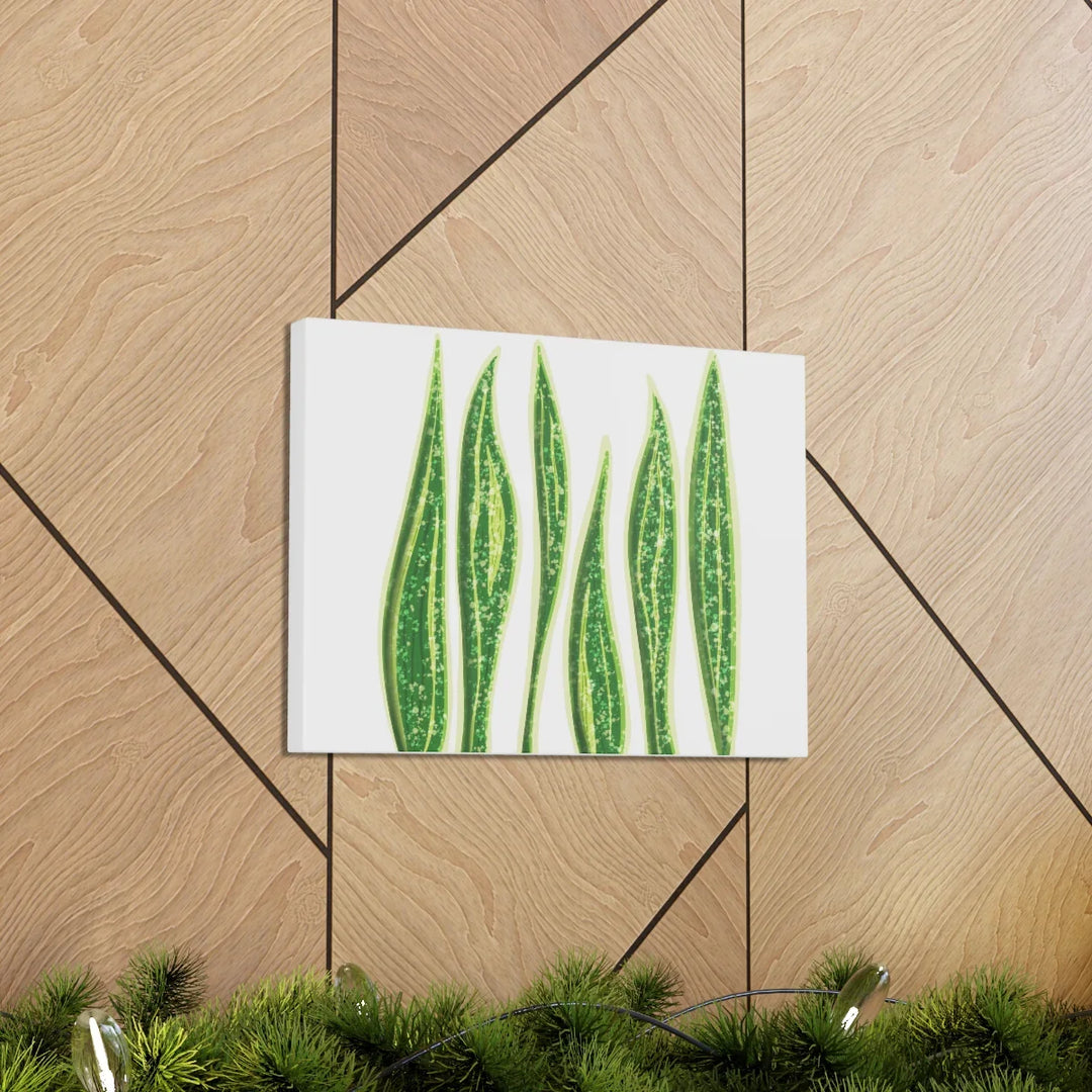 Snake Plant Canvas | Botanical Canvas Decor - Matte Finish Artwork for Living Room - Laura Christine Photography & Design