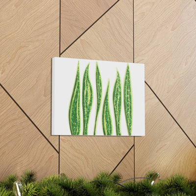 Snake Plant Canvas