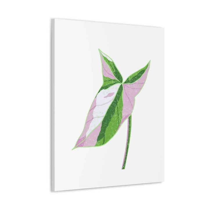 Syngonium Tricolor Canvas | Botanical Canvas Art Print With Matte Finish - Laura Christine Photography & Design