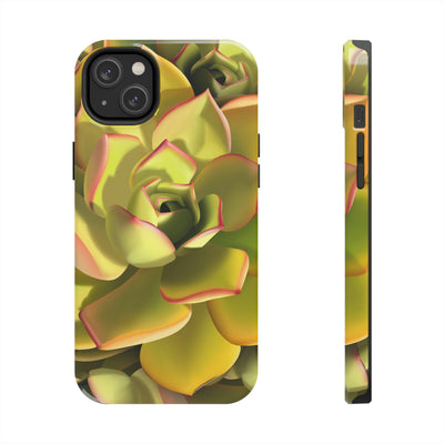 Noble Aeonium Succulent Phone Case, Phone Case, Printify, Accessories, Glossy, iPhone Cases, Matte, Phone accessory, Phone Cases, Samsung Cases, Laura Christine Photography & Design, laurachristinedesign.com