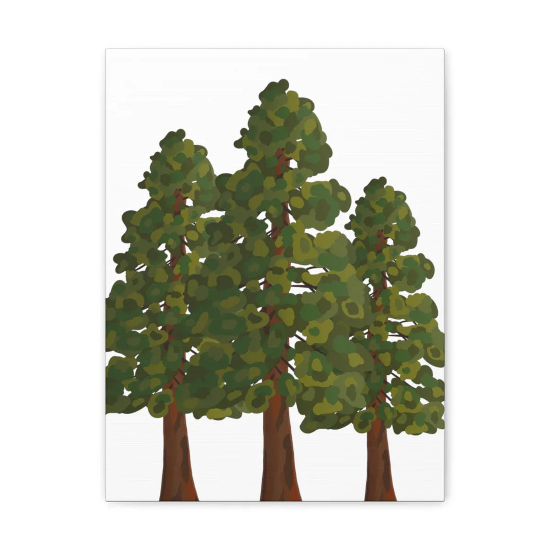 Coastal Redwoods Canvas - Stretched Cotton Canvas Art Print | Matte Finish Wall Hanging Artwork