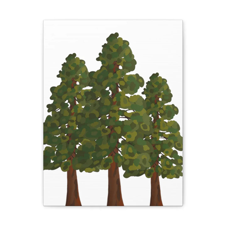 Coastal Redwoods Canvas - Stretched Cotton Canvas Art Print | Matte Finish Wall Hanging Artwork