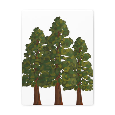 Coastal Redwoods Canvas