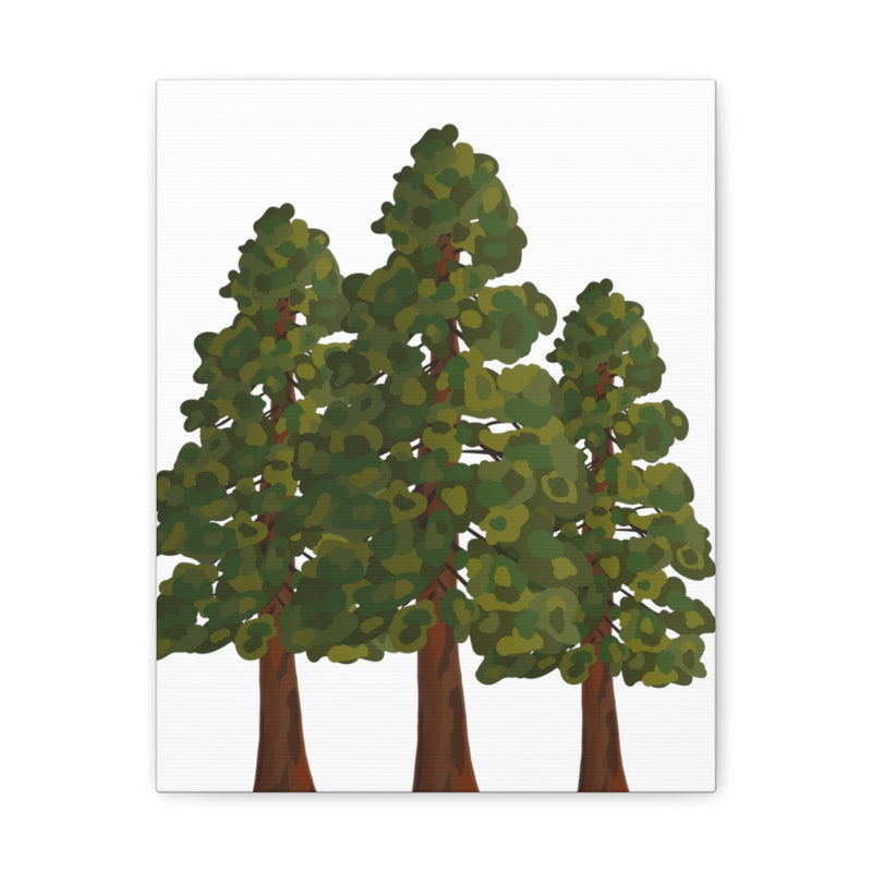 Coastal Redwoods Canvas