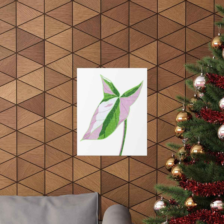 Syngonium Tricolor Print – Botanical Wall Art | Variegated Leaf Poster Unframed