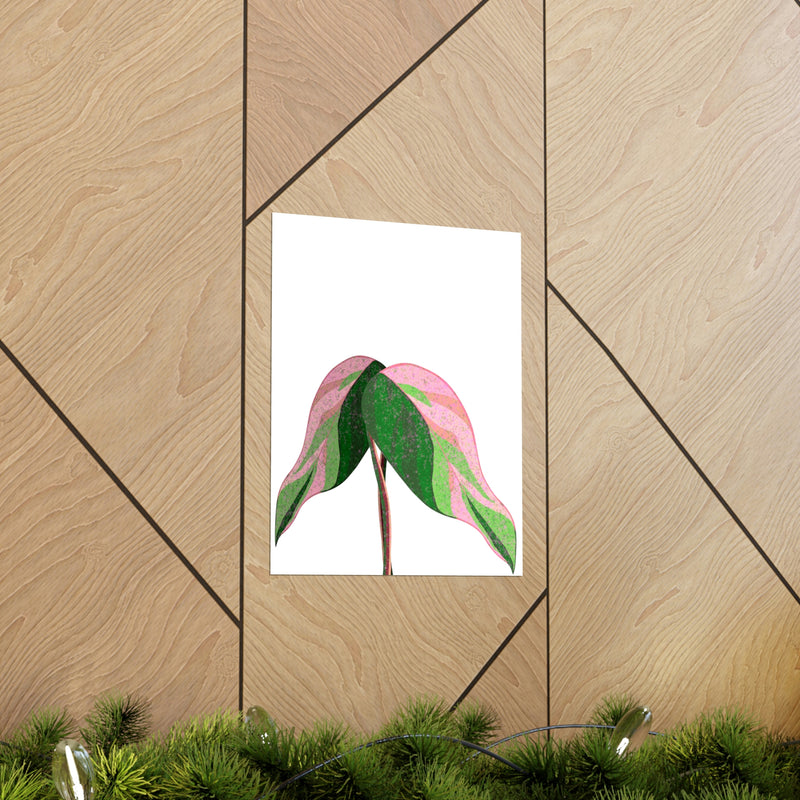 Pink Princess Philodendron Print