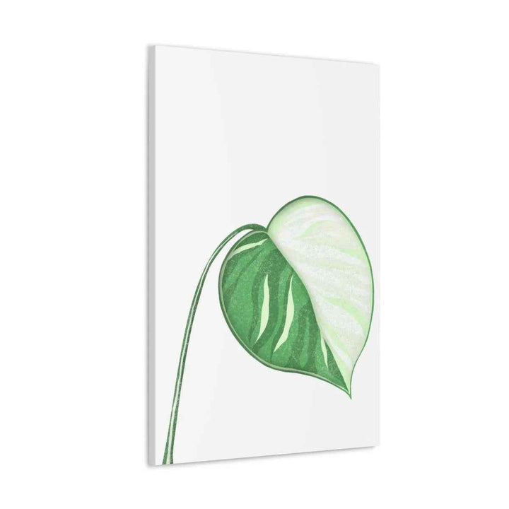 Monstera Albo Canvas | Large Tropical Leaf Artwork - Matte Finish Canvas Art Print