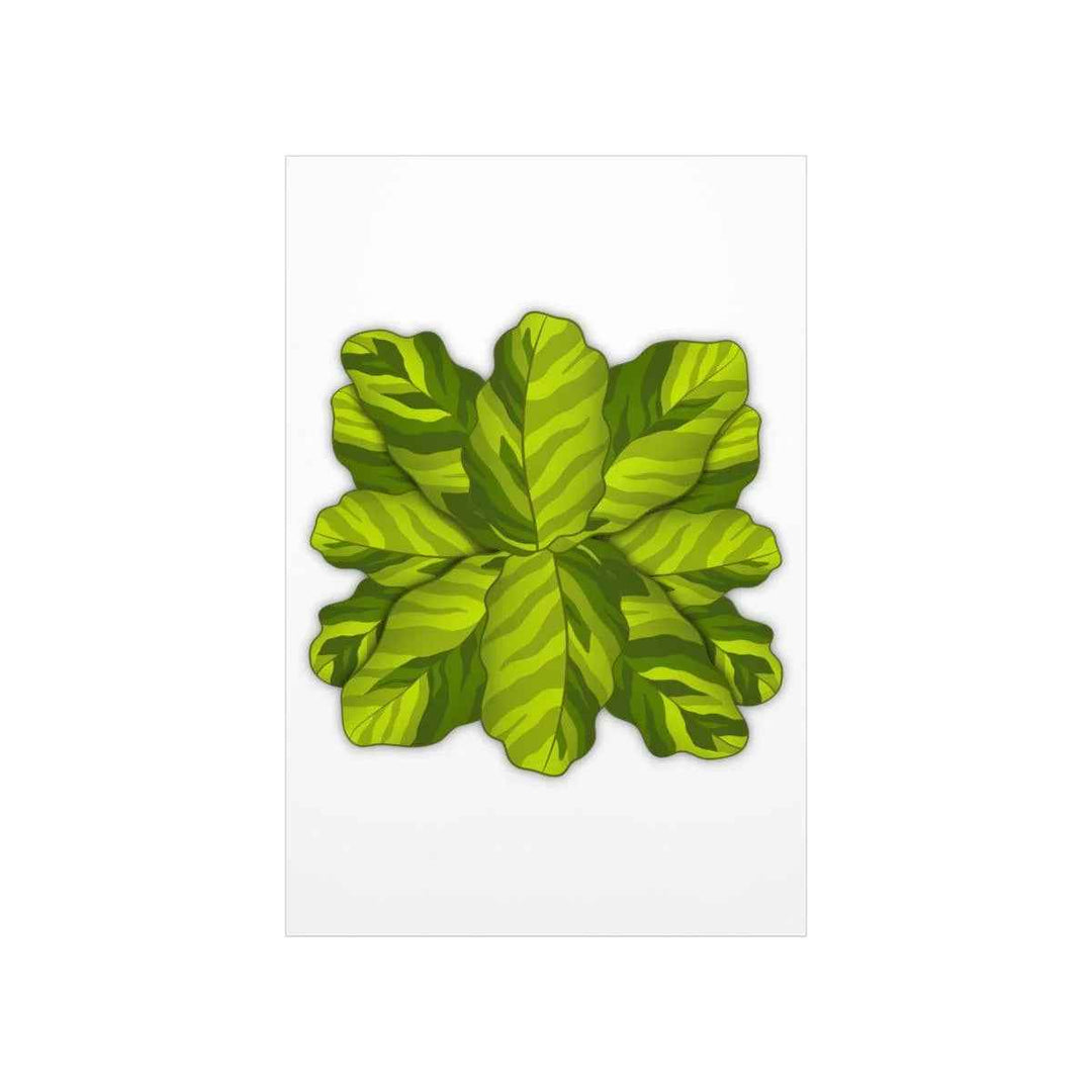 Calathea Yellow Fusion Print – Botanical Wall Art on Museum-Grade Paper Unframed