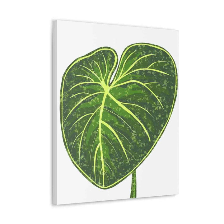 Philodendron Gloriosum Canvas - Stretched Canvas Art Print | Matte Indoor Wall Art