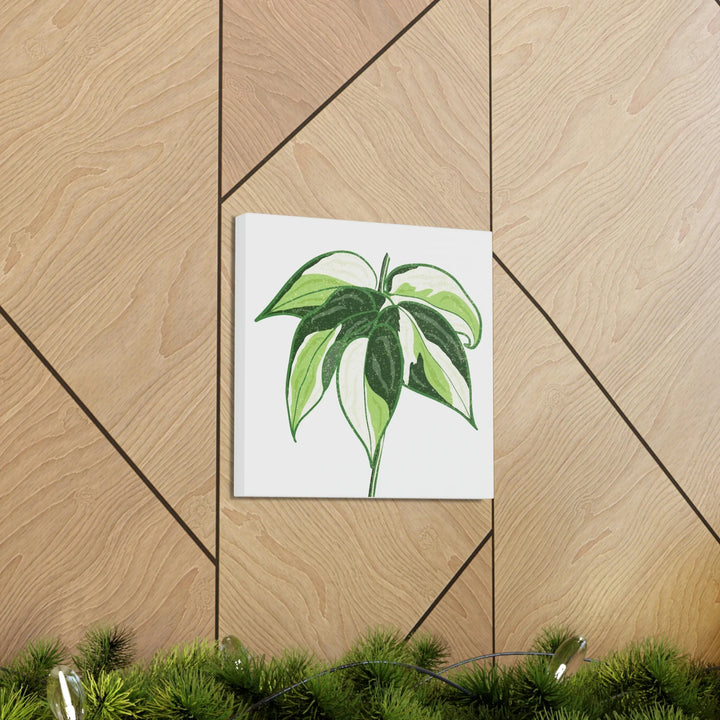 Philodendron Canvas Print - Cream Splash Variegated Plant Art on Matte Cotton Canvas