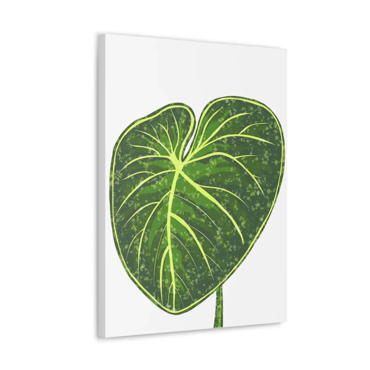 Philodendron Gloriosum Canvas - Stretched Canvas Art Print | Matte Indoor Wall Art - Laura Christine Photography & Design