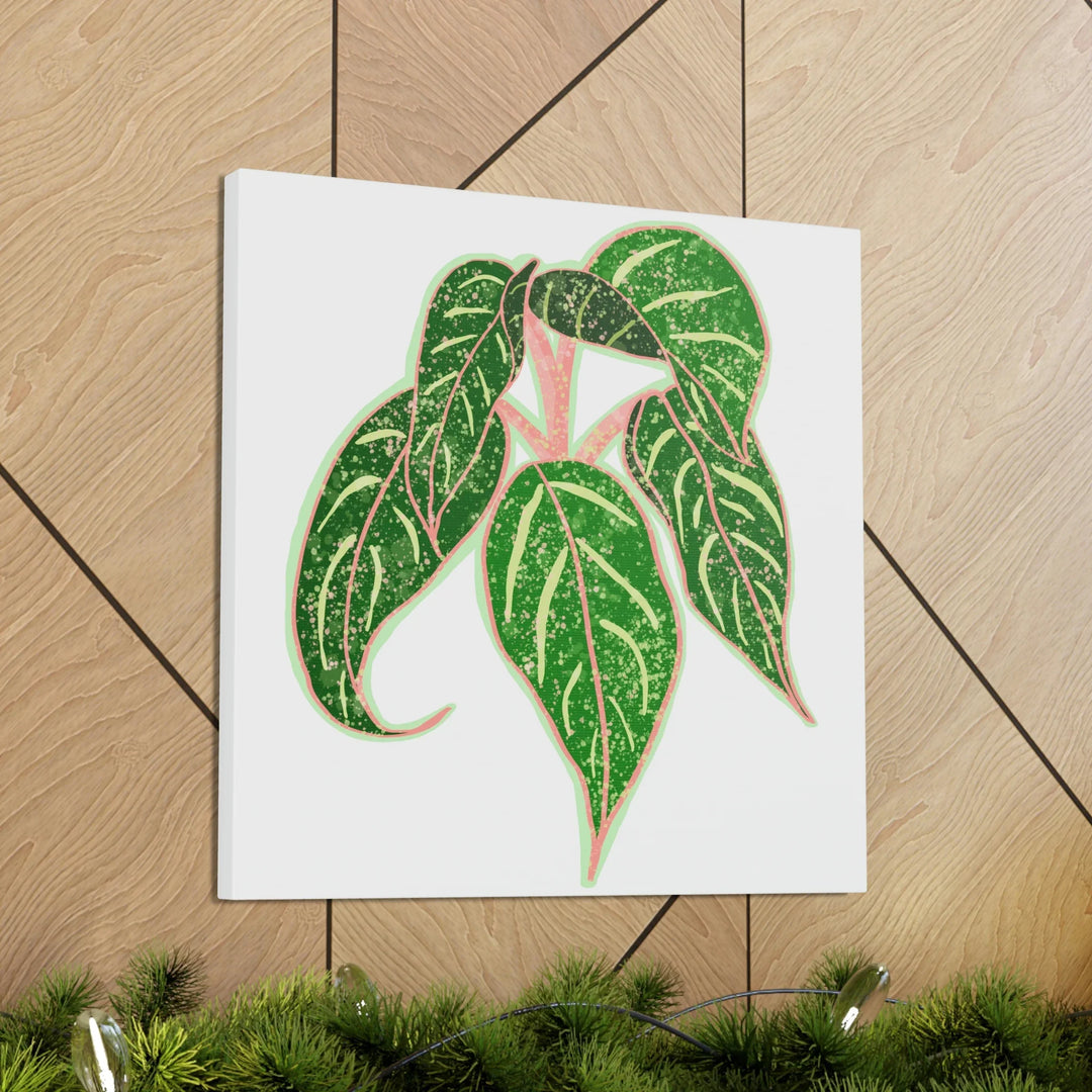 Aglaonema Plant Canvas | Sparkling Plant Artwork - Colorfast Canvas Art Print Decor