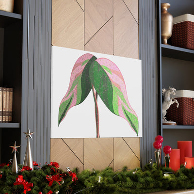 Pink Princess Philodendron Canvas