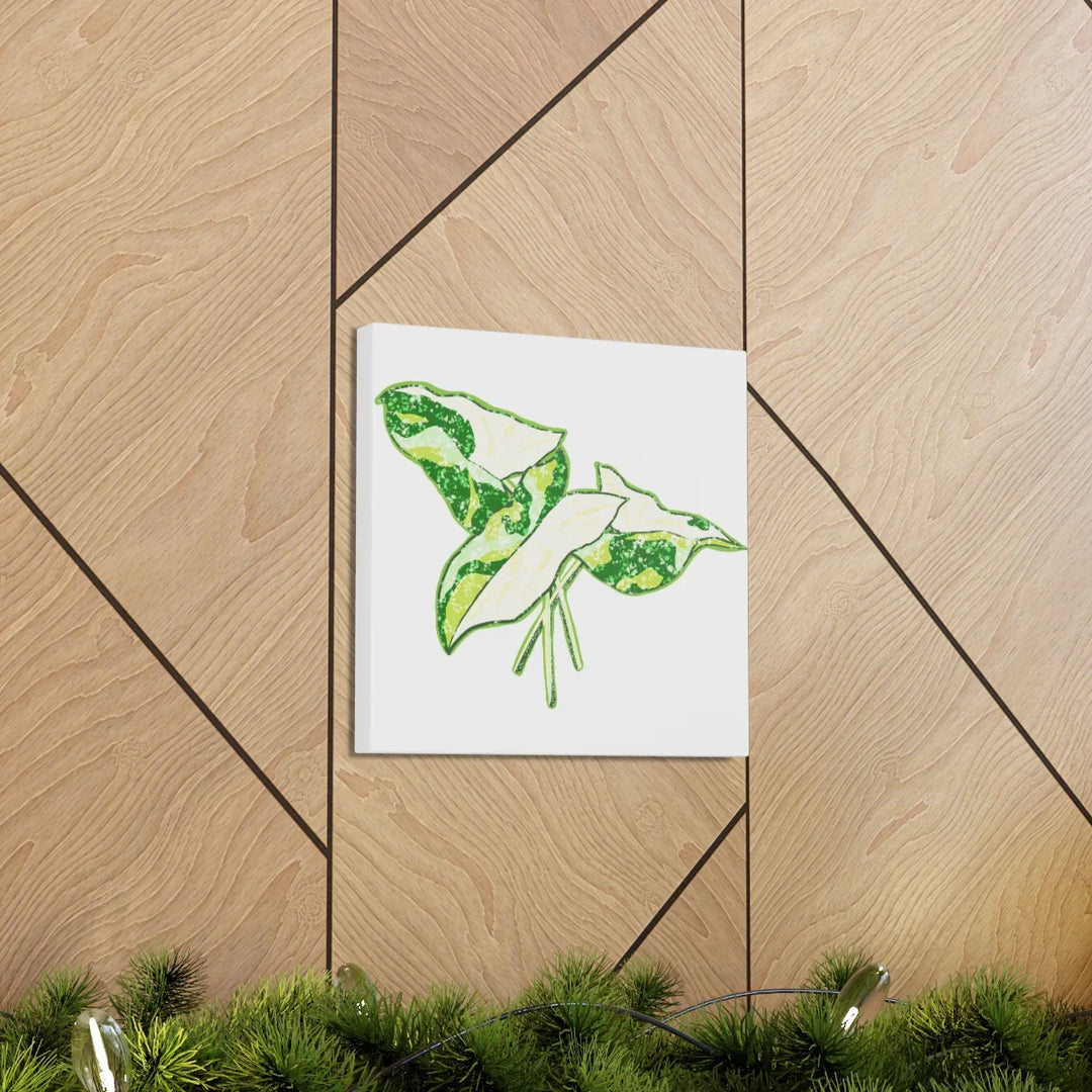Marble Syngonium Canvas - Botanical Canvas Art Print | Durable Cotton Matte Finish - Laura Christine Photography & Design