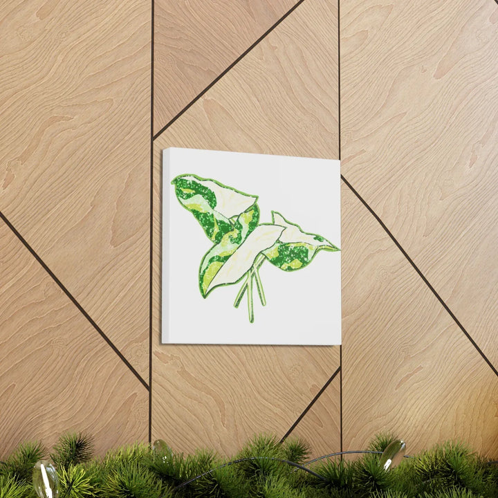 Marble Syngonium Canvas - Botanical Canvas Art Print | Durable Cotton Matte Finish - Laura Christine Photography & Design