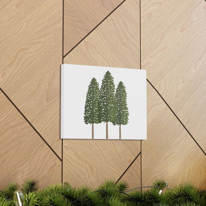 Ponderosa Pine Canvas - Large Stretched Cotton Canvas Art Print With Matte Finish