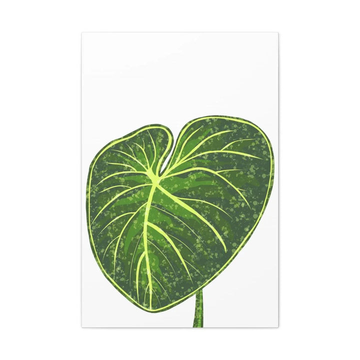 Philodendron Gloriosum Canvas - Stretched Canvas Art Print | Matte Indoor Wall Art - Laura Christine Photography & Design