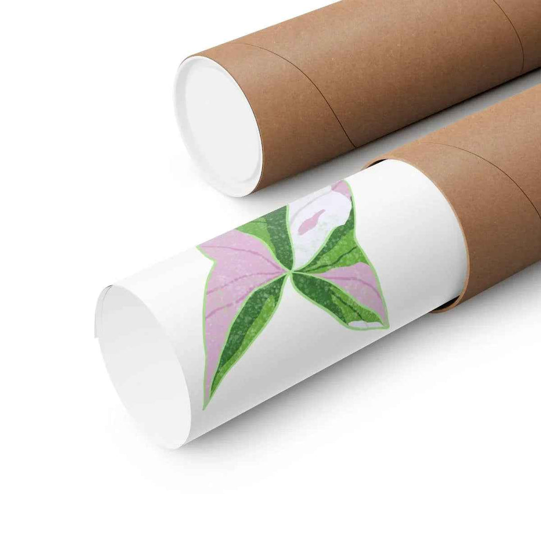 Syngonium Tricolor Print – Botanical Wall Art | Variegated Leaf Poster Unframed