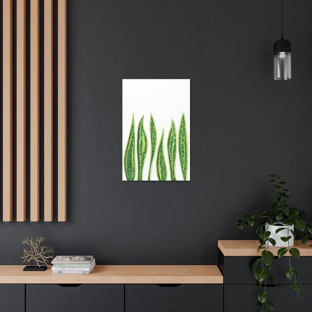Snake Plant Canvas | Botanical Canvas Decor - Matte Finish Artwork for Living Room - Laura Christine Photography & Design