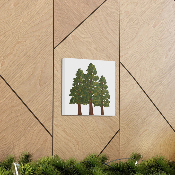 Coastal Redwoods Canvas - Stretched Cotton Canvas Art Print | Matte Finish Wall Hanging Artwork