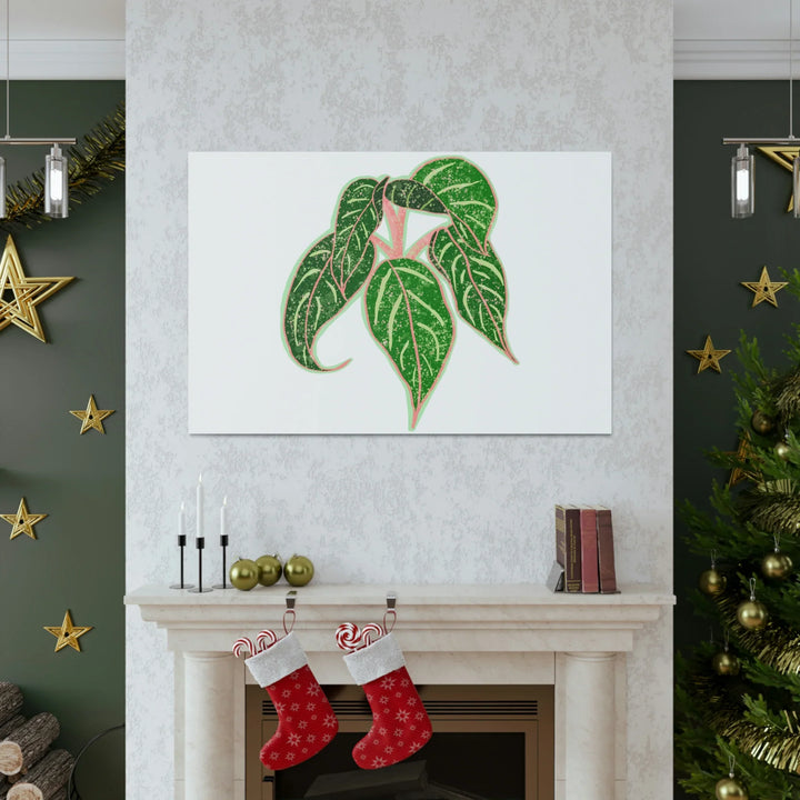 Aglaonema Plant Canvas | Sparkling Plant Artwork - Colorfast Canvas Art Print Decor