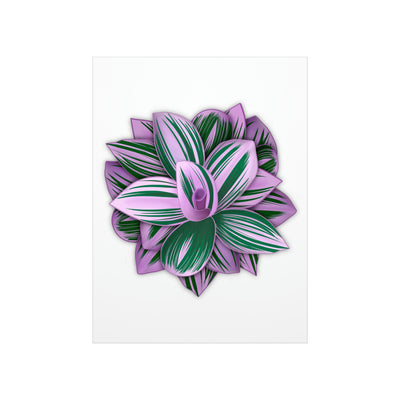 Tradescantia Nanouk Print