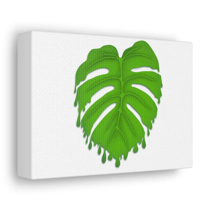 Melting Monstera Canvas | Large Botanical Canvas Art Print With Matte Finish