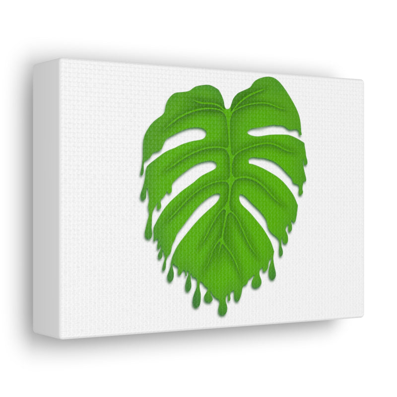 Melting Monstera Canvas