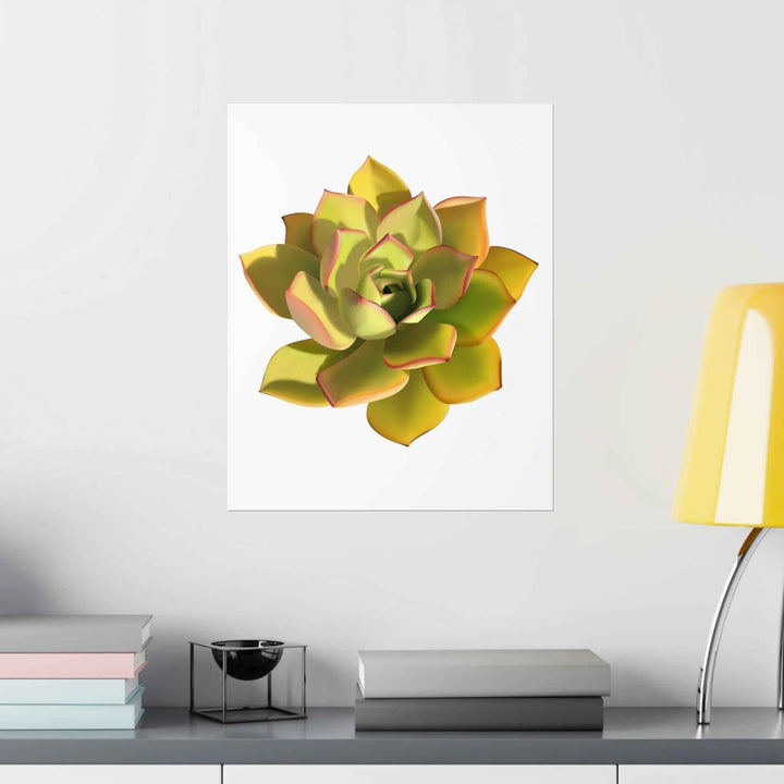 POS Aeonium Print