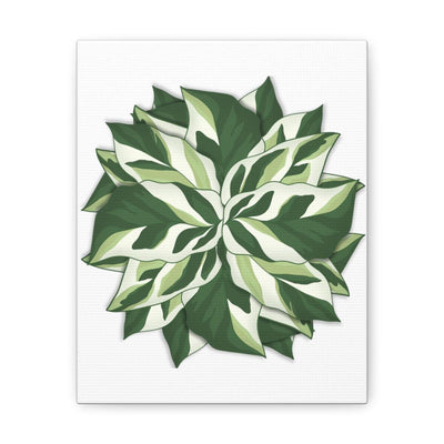 Calathea White Fusion Canvas, Canvas, Laura Christine Photography & Design, Art & Wall Decor, Canvas, Hanging Hardware, Home & Living, Indoor, Laura Christine Photography & Design, 