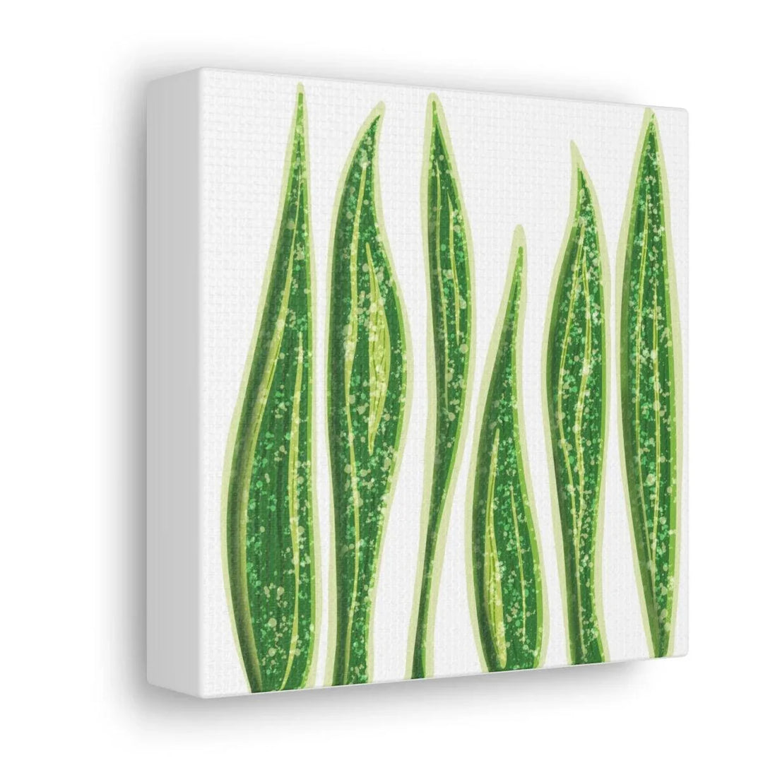 Snake Plant Canvas | Botanical Canvas Decor - Matte Finish Artwork for Living Room - Laura Christine Photography & Design