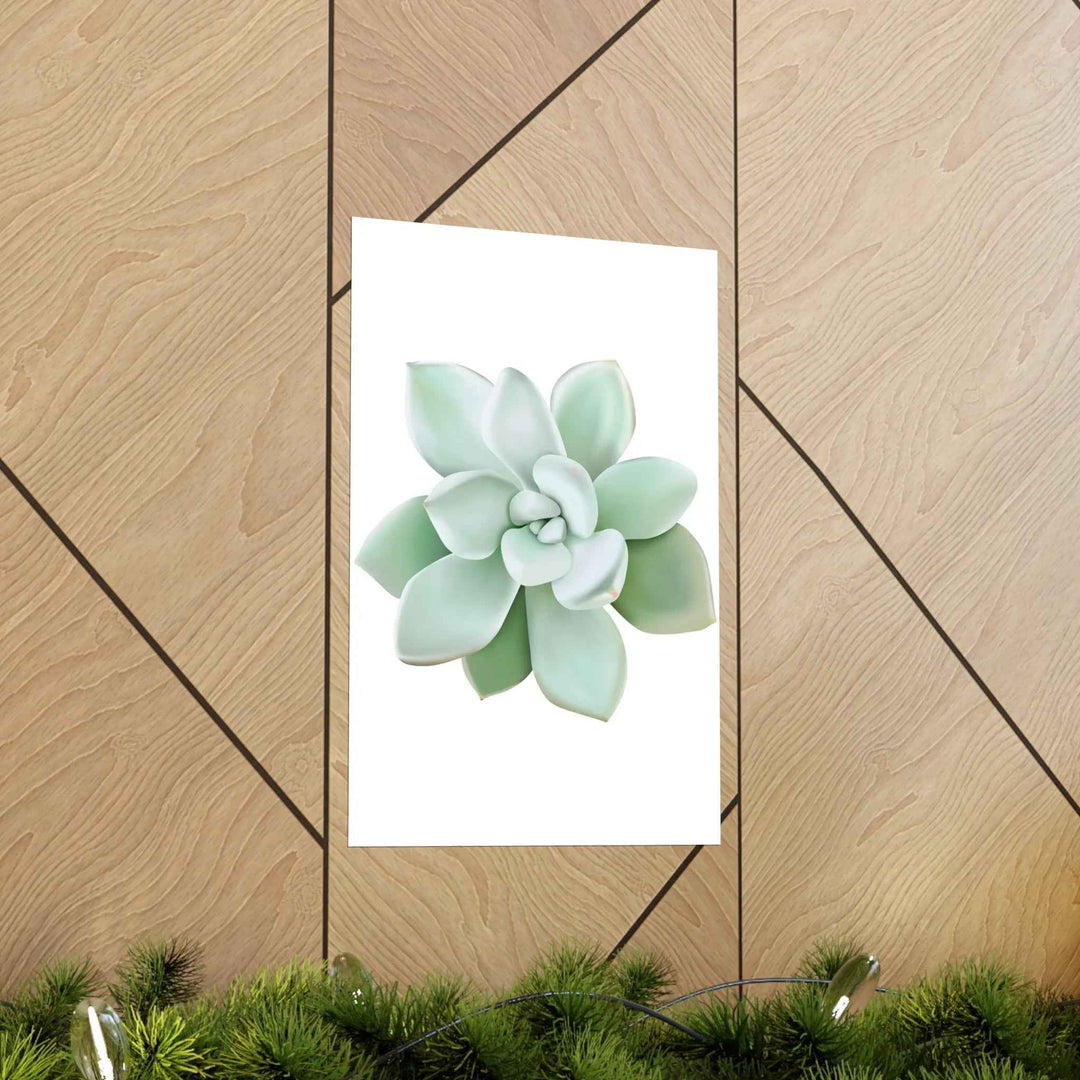 POS Pachyveria Print