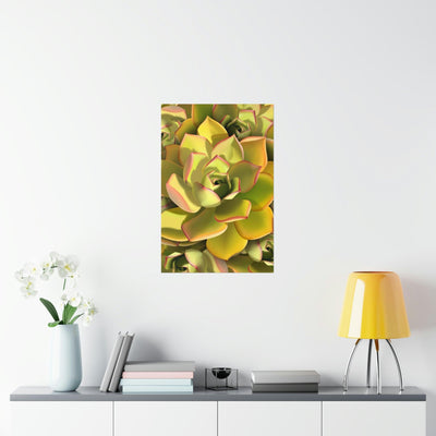 Noble Aeonium Succulent Pattern Print, Poster, Printify, Back to School, Home & Living, Indoor, Matte, Paper, Posters, Valentine's Day promotion, Laura Christine Photography & Design, laurachristinedesign.com