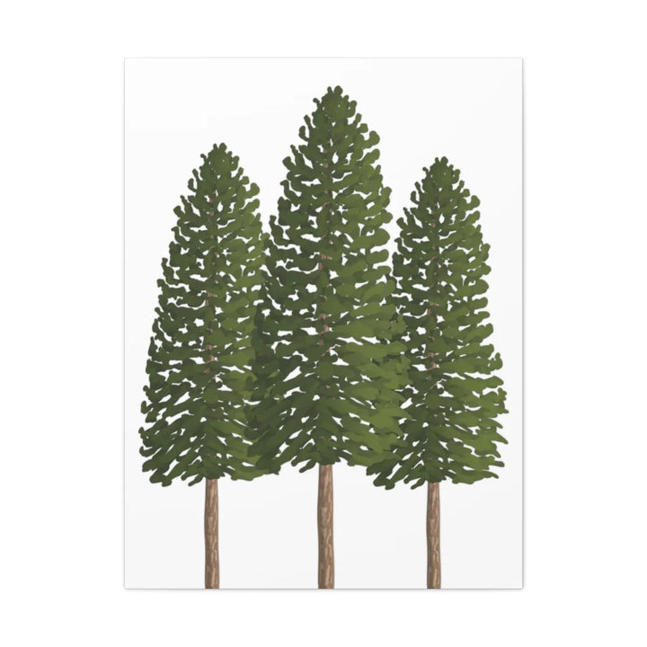Ponderosa Pine Canvas - Large Stretched Cotton Canvas Art Print With Matte Finish