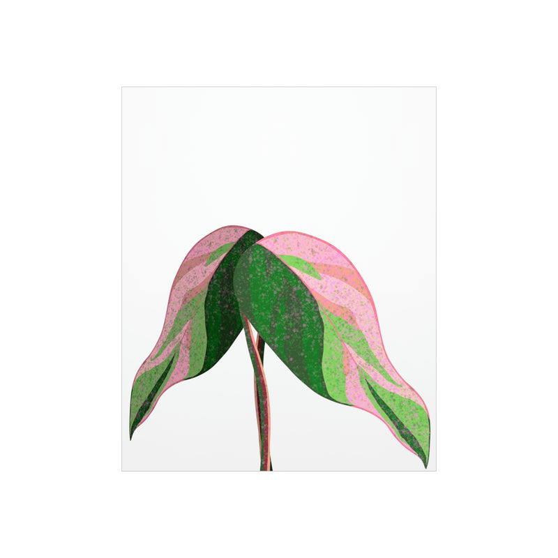 Pink Princess Philodendron Print