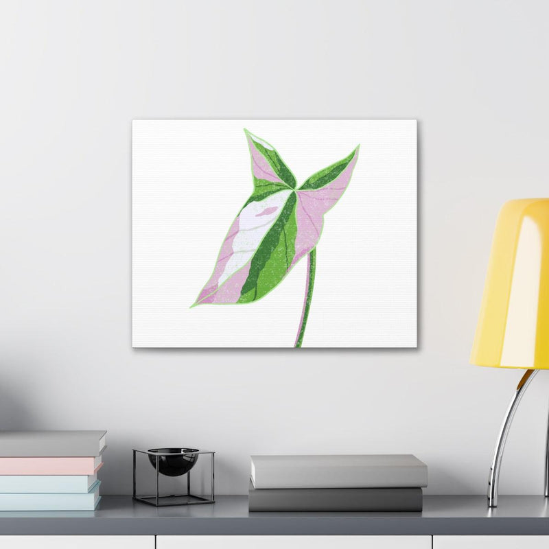 Syngonium Tricolor Canvas, Canvas, Laura Christine Photography & Design, Art & Wall Decor, Canvas, Hanging Hardware, Home & Living, Indoor, Laura Christine Photography & Design, 