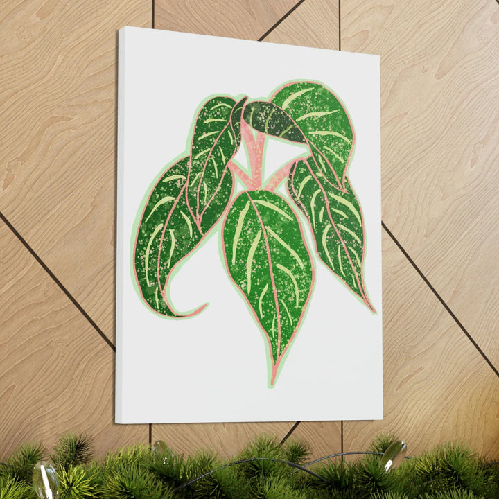 Aglaonema Plant Canvas | Sparkling Plant Artwork - Colorfast Canvas Art Print Decor