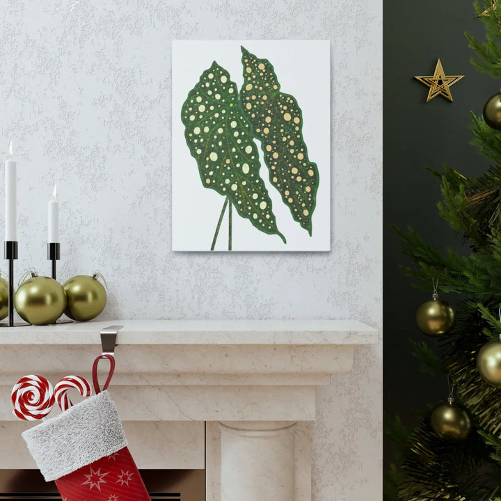 Begonia Maculata Canvas | Premium Canvas Art Print - Matte Finish, Durable Wall Decor - Laura Christine Photography & Design