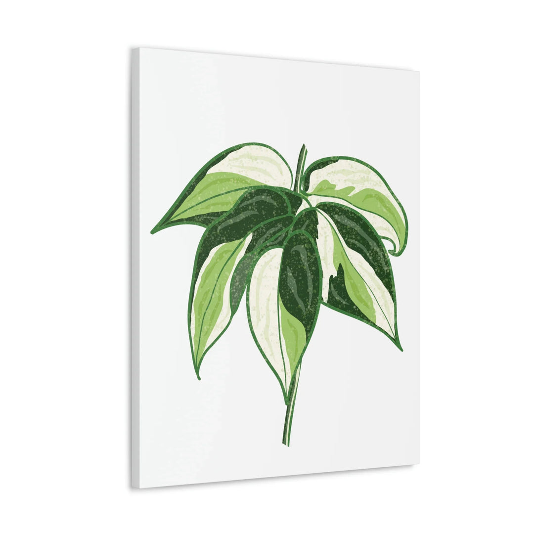Philodendron Canvas Print - Cream Splash Variegated Plant Art on Matte Cotton Canvas
