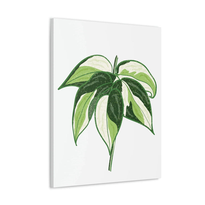 Philodendron Canvas Print - Cream Splash Variegated Plant Art on Matte Cotton Canvas