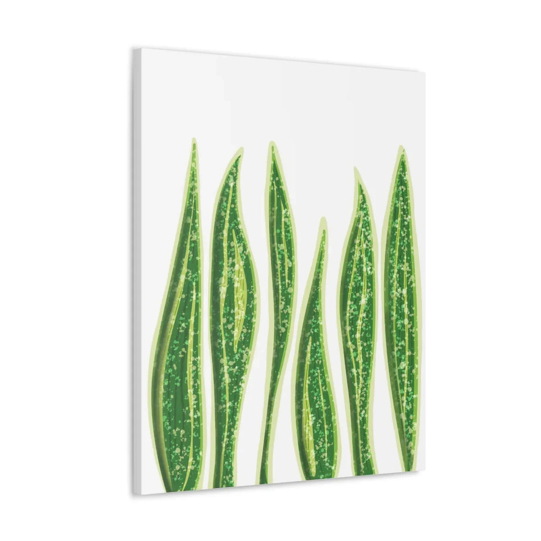 Snake Plant Canvas | Botanical Canvas Decor - Matte Finish Artwork for Living Room - Laura Christine Photography & Design