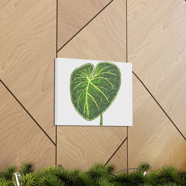 Philodendron Gloriosum Canvas - Stretched Canvas Art Print | Matte Indoor Wall Art - Laura Christine Photography & Design