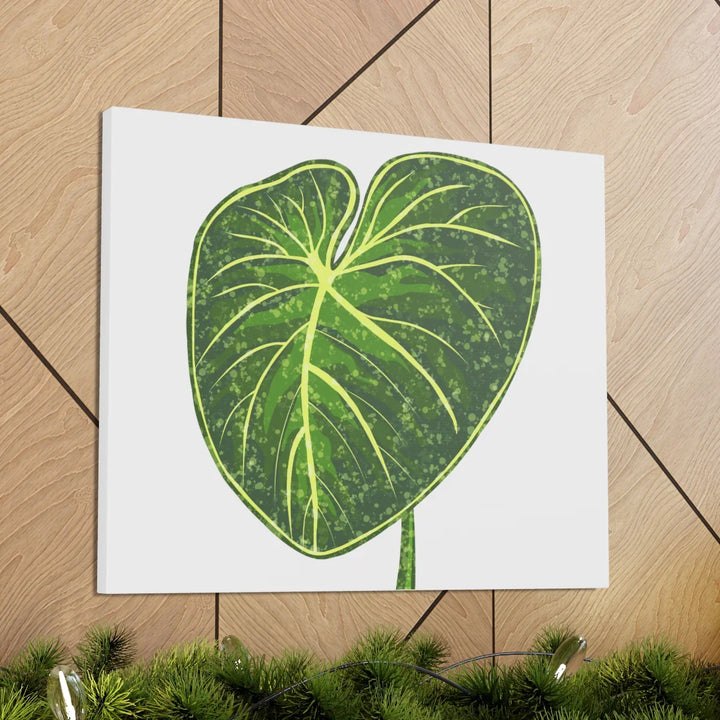 Philodendron Gloriosum Canvas - Stretched Canvas Art Print | Matte Indoor Wall Art - Laura Christine Photography & Design