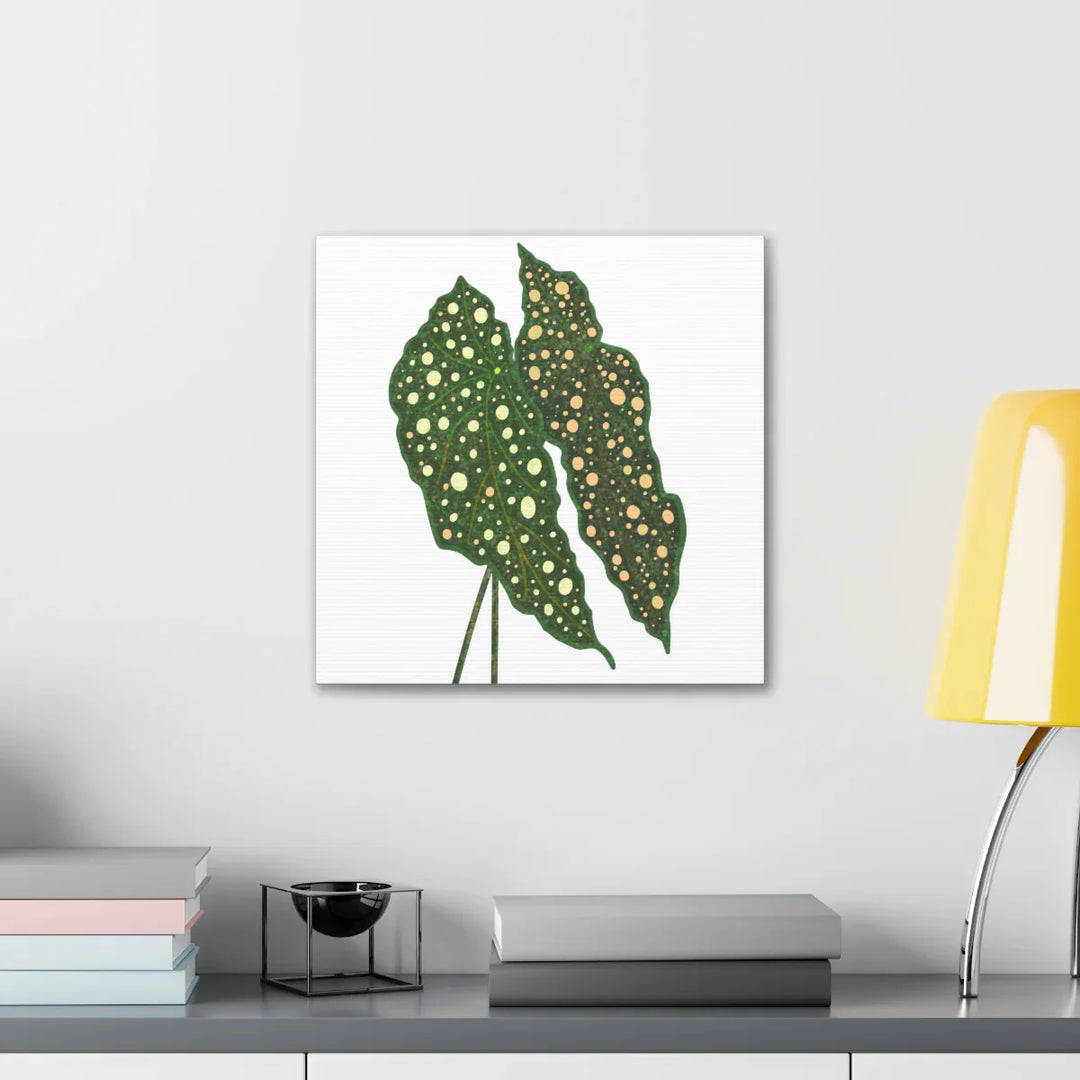 Begonia Maculata Canvas | Premium Canvas Art Print - Matte Finish, Durable Wall Decor - Laura Christine Photography & Design