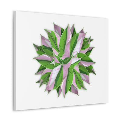 Tricolor Syngonium Canvas